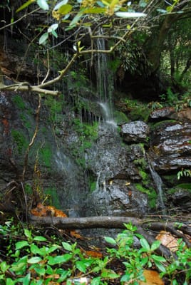 DSC_7636.JPG