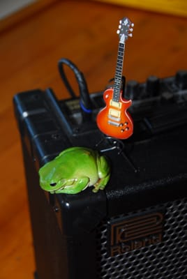 DSC_6912.JPG