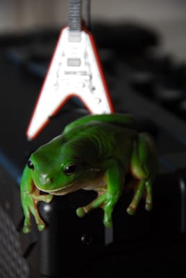 DSC_6938.JPG
