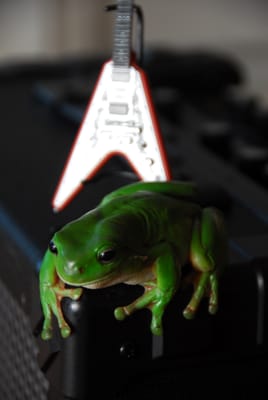 DSC_6939.JPG