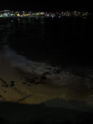 IMG_1782.jpg