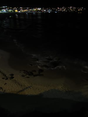 IMG_1783.jpg