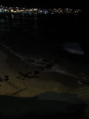 IMG_1784.jpg