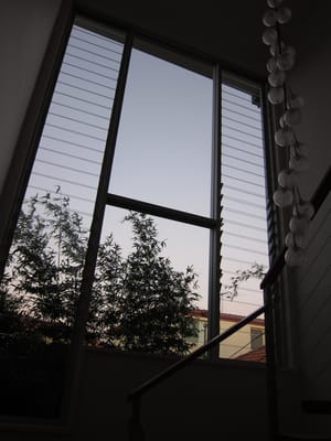 IMG_4850.jpg