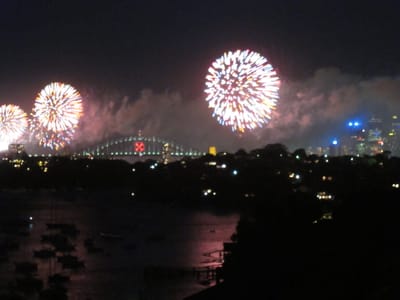 IMG_4866.jpg
