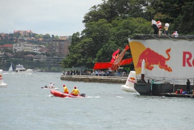 DSC_7355.JPG