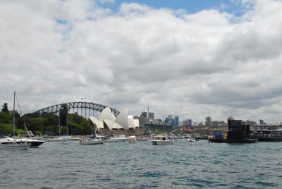 DSC_7356.JPG