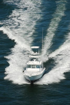 DSC_7368.JPG