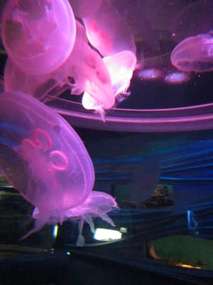 IMG_1938.JPG