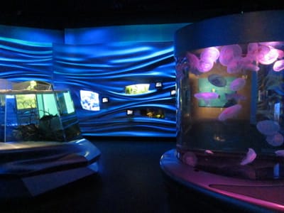 IMG_1939.JPG