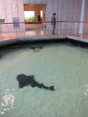 IMG_1948.JPG