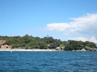 IMG_1715.jpg