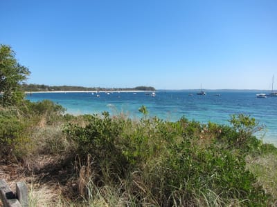 IMG_2071.jpg