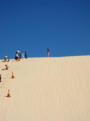 IMG_2079.jpg