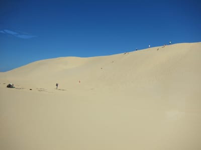 IMG_2095.jpg