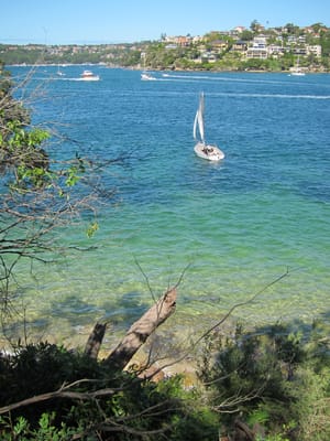 IMG_1968.JPG
