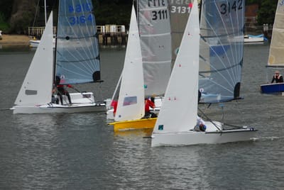 DSC_7331.JPG