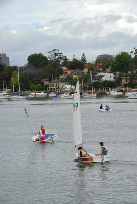 DSC_7336.JPG