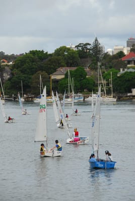 DSC_7338.JPG