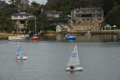 DSC_7340.JPG
