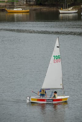 DSC_7343.JPG