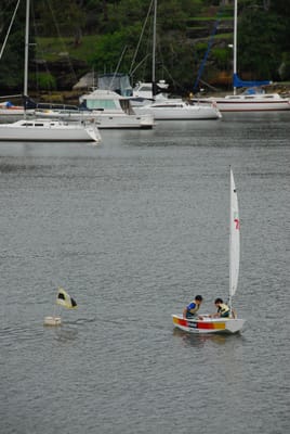 DSC_7344.JPG
