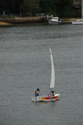 DSC_7345.JPG