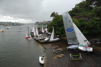 DSC_7348.JPG