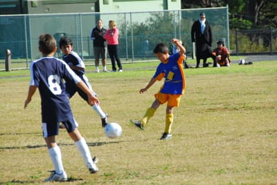 DSC_7016.JPG