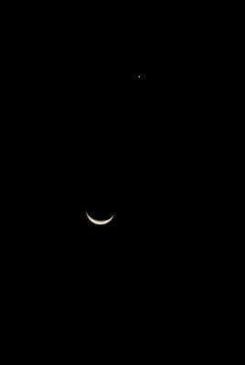 DSC_7247.JPG