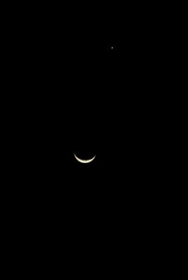 DSC_7248.JPG