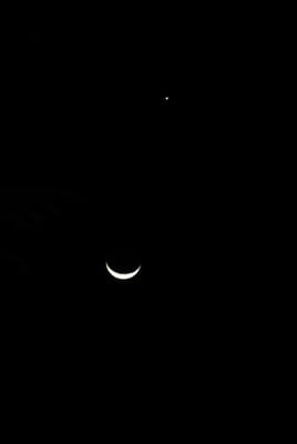 DSC_7249.JPG