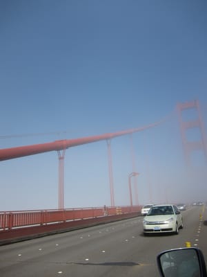 IMG_3901.JPG