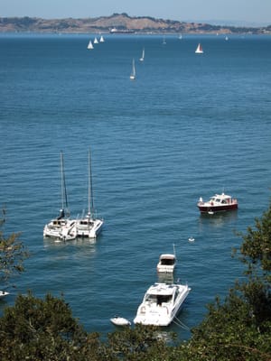 IMG_3936.JPG