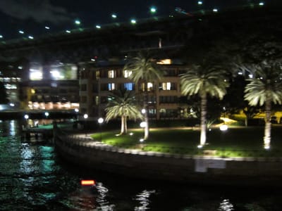 IMG_3403.jpg