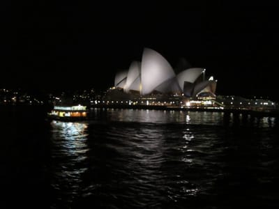 IMG_3409.jpg