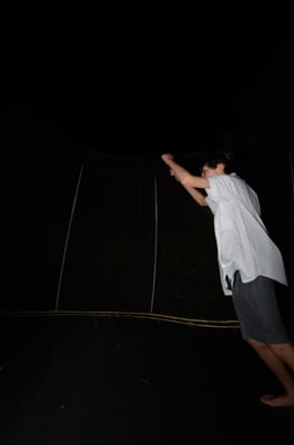 DSC_1312.jpg