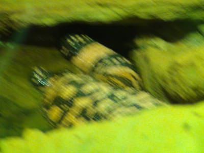 DSC00105.JPG