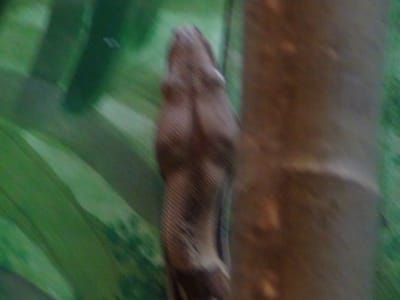 DSC00110.JPG