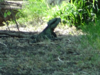 DSC00136.JPG