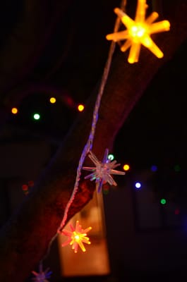 DSC_8092.JPG
