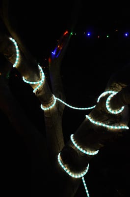 DSC_8102.JPG