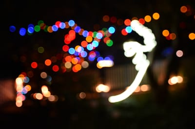 DSC_8113.JPG
