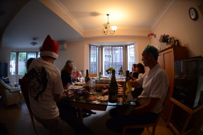 DSC_9529.JPG