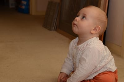 DSC_9593.JPG