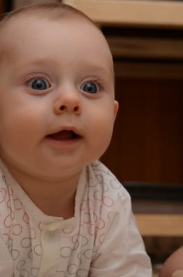 DSC_9598.JPG