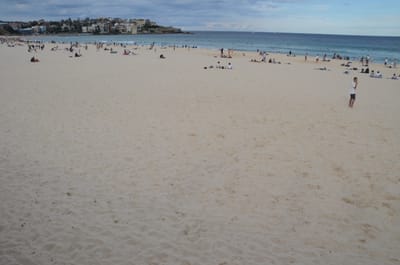 DSC_2000.JPG