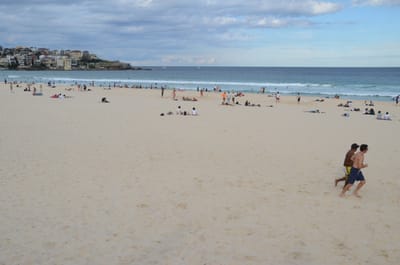 DSC_2001.JPG