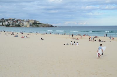 DSC_2003.JPG