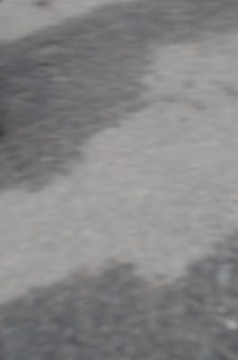 DSC_3669.JPG